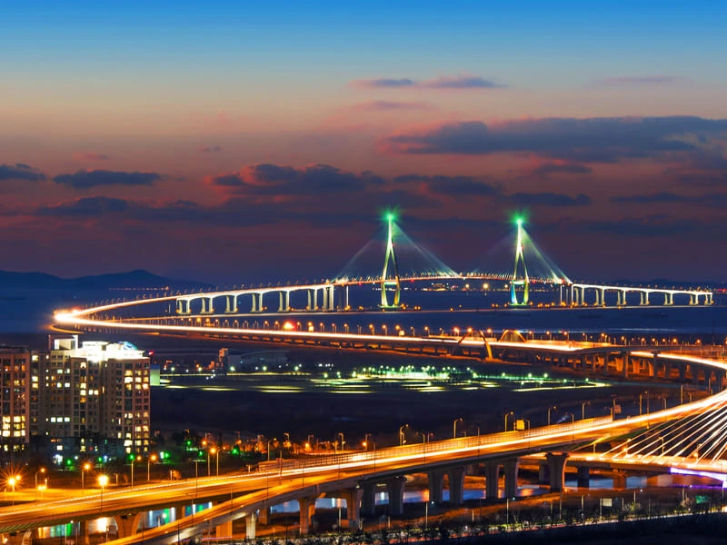 테넌바움294 프리미엄 01